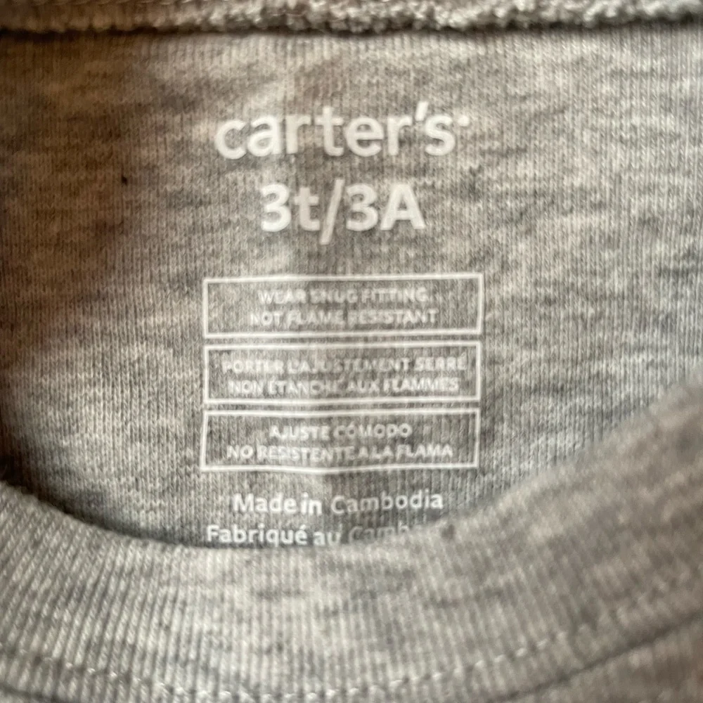 Carter's Boys' 2 Pc Fleece (3T, Polar Bear/Blue/Grey) NWT smoke free home